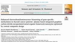 Enhanced electrochemiluminescence biosensing of gene-specific methylation in thyroid cancer patients’ plasma based integrated graphitic carbon nitride-encapsulated metal-organic framework nanozyme optimized by central composite design